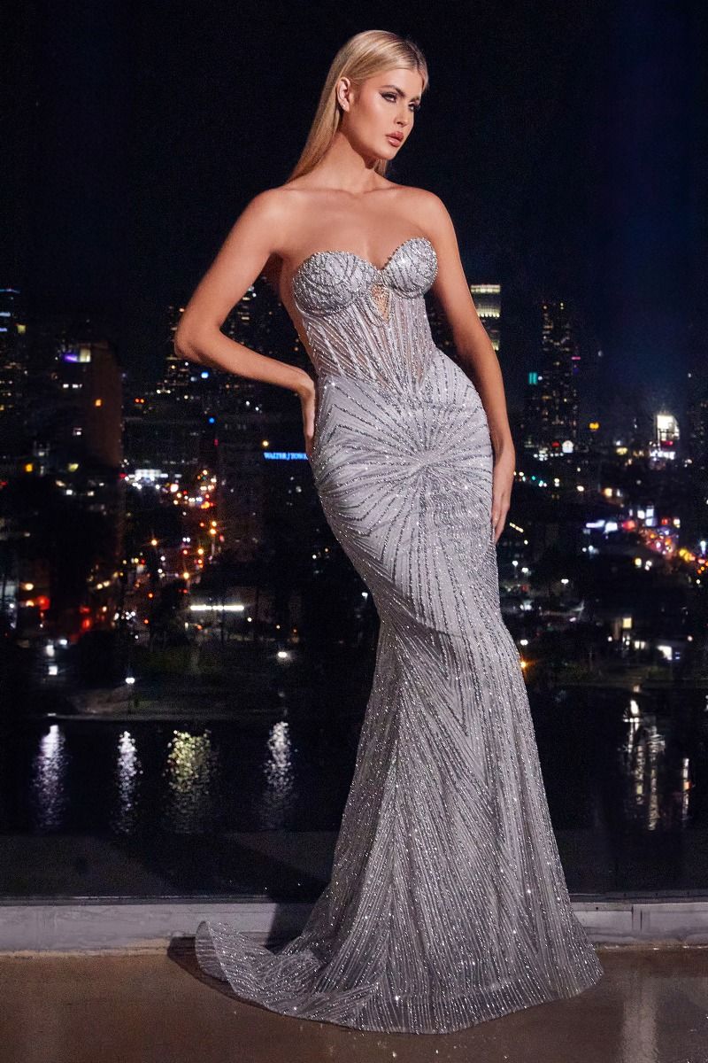 STRAPLESS SILVER EMBELLISHED GOWN Fashion Boss 21